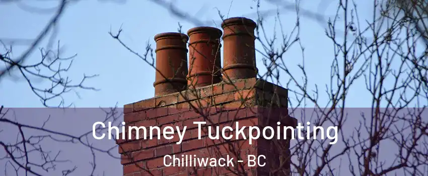  Chimney Tuckpointing Chilliwack - BC