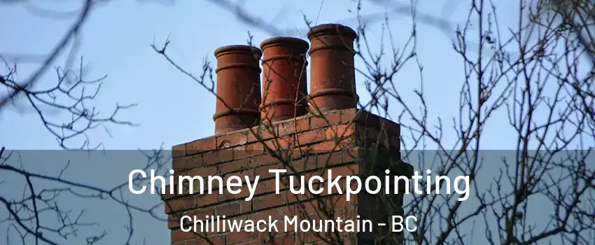 Chimney Tuckpointing Chilliwack Mountain - BC