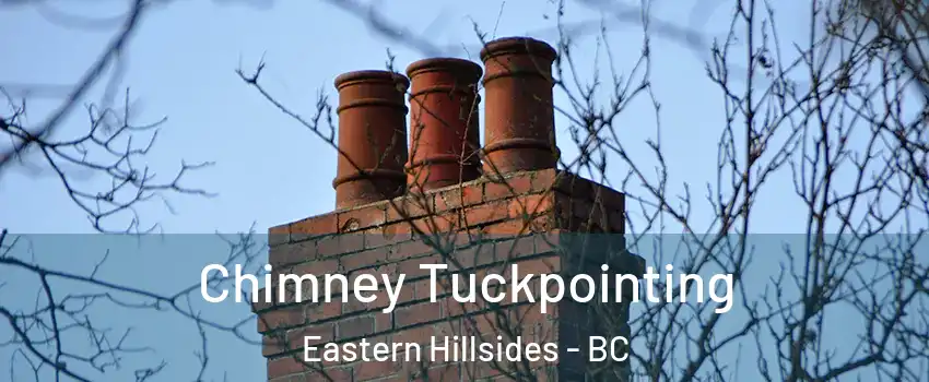  Chimney Tuckpointing Eastern Hillsides - BC
