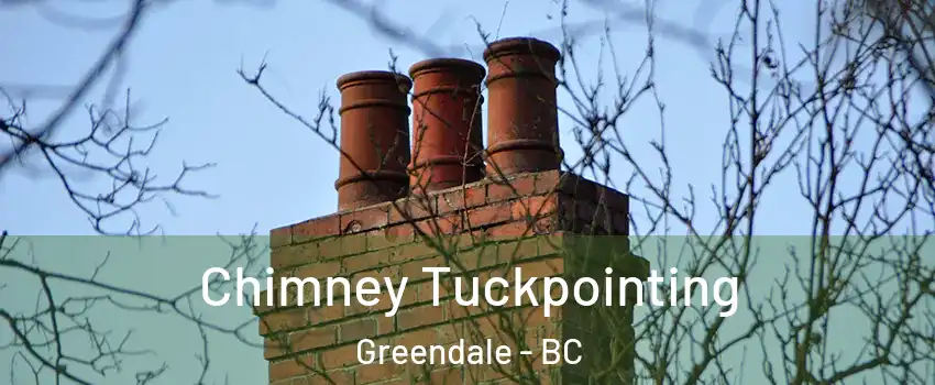 Chimney Tuckpointing Greendale - BC