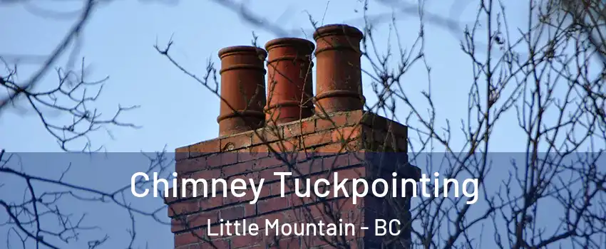 Chimney Tuckpointing Little Mountain - BC
