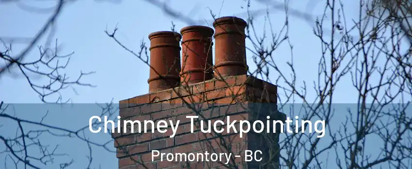 Chimney Tuckpointing Promontory - BC