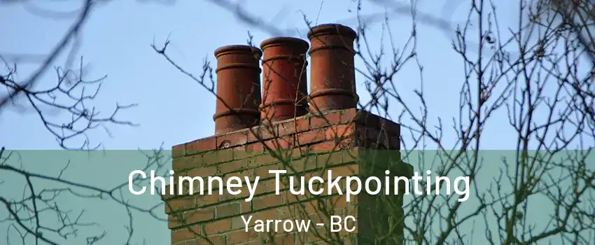 Chimney Tuckpointing Yarrow - BC