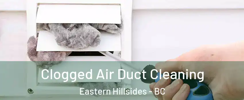  Clogged Air Duct Cleaning Eastern Hillsides - BC