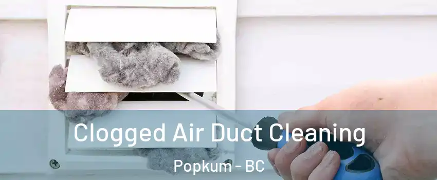Clogged Air Duct Cleaning Popkum - BC