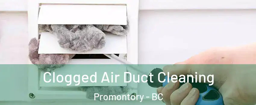 Clogged Air Duct Cleaning Promontory - BC