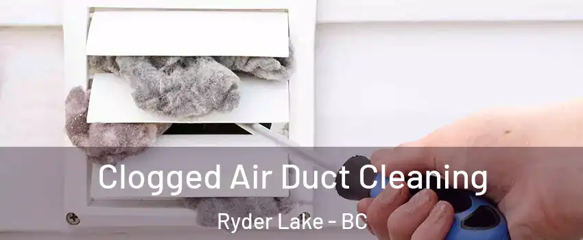 Clogged Air Duct Cleaning Ryder Lake - BC