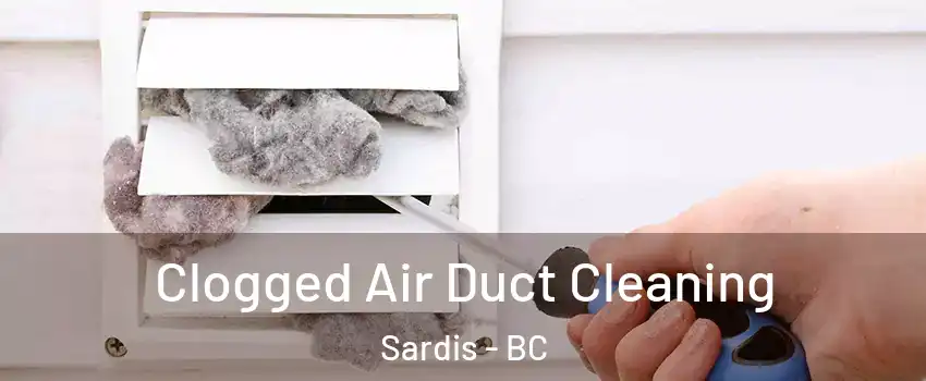  Clogged Air Duct Cleaning Sardis - BC