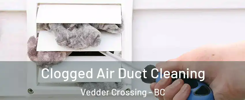 Clogged Air Duct Cleaning Vedder Crossing - BC