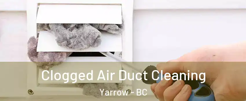 Clogged Air Duct Cleaning Yarrow - BC