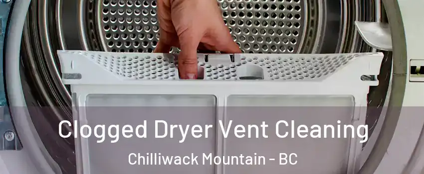 Clogged Dryer Vent Cleaning Chilliwack Mountain - BC