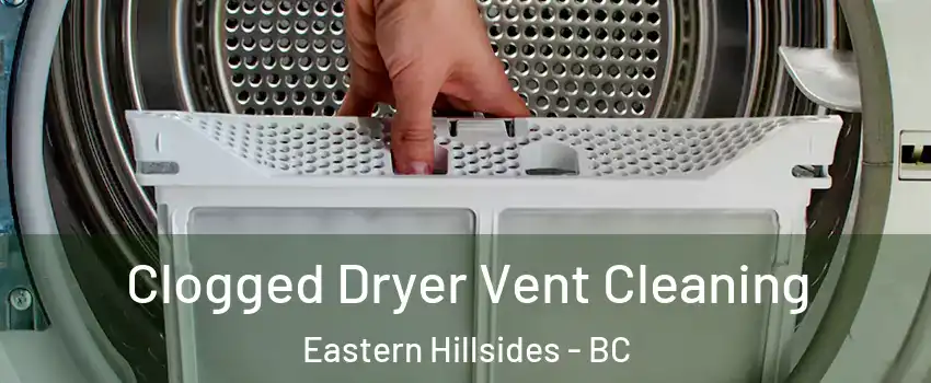 Clogged Dryer Vent Cleaning Eastern Hillsides - BC