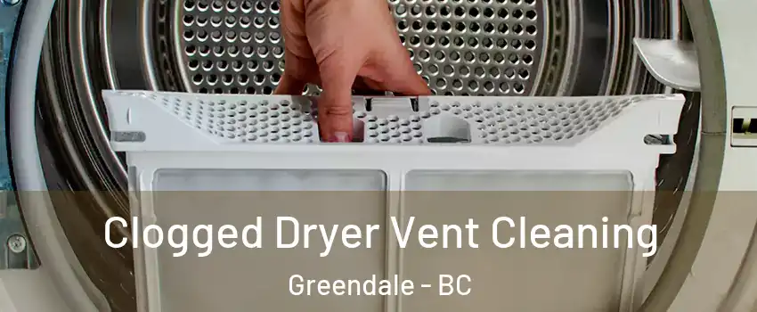Clogged Dryer Vent Cleaning Greendale - BC