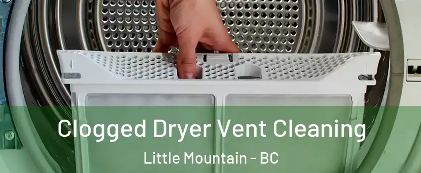Clogged Dryer Vent Cleaning Little Mountain - BC