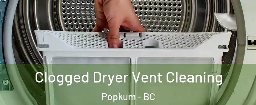 Clogged Dryer Vent Cleaning Popkum - BC