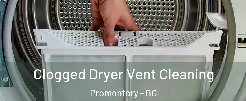 Clogged Dryer Vent Cleaning Promontory - BC