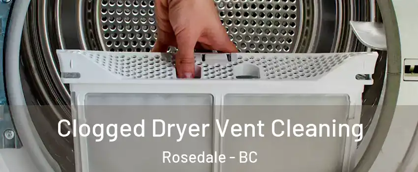 Clogged Dryer Vent Cleaning Rosedale - BC