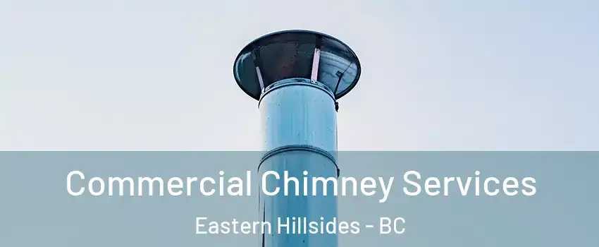  Commercial Chimney Services Eastern Hillsides - BC