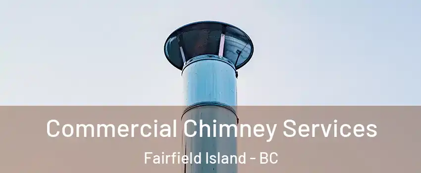 Commercial Chimney Services Fairfield Island - BC