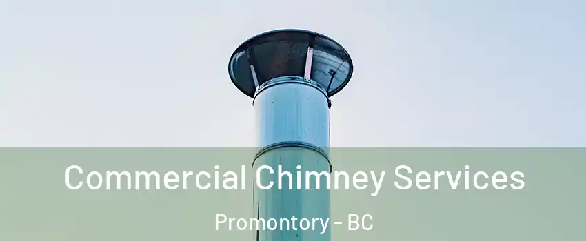 Commercial Chimney Services Promontory - BC