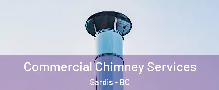 Commercial Chimney Services Sardis - BC