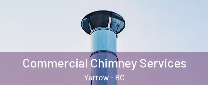Commercial Chimney Services Yarrow - BC
