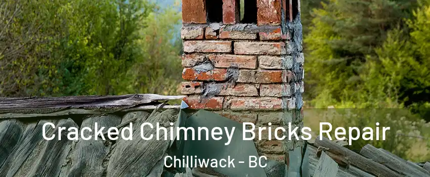  Cracked Chimney Bricks Repair Chilliwack - BC