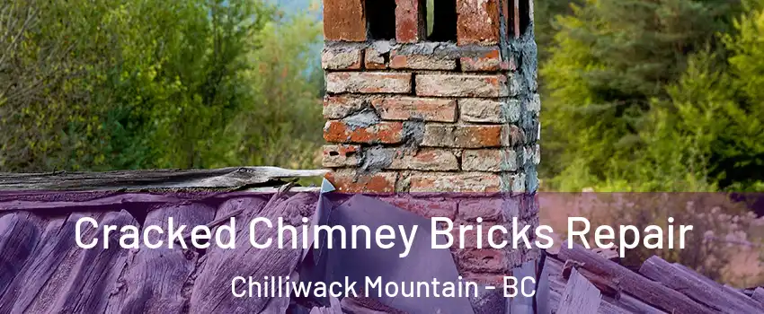 Cracked Chimney Bricks Repair Chilliwack Mountain - BC