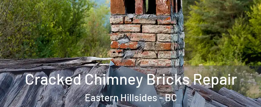  Cracked Chimney Bricks Repair Eastern Hillsides - BC