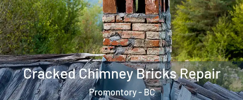 Cracked Chimney Bricks Repair Promontory - BC