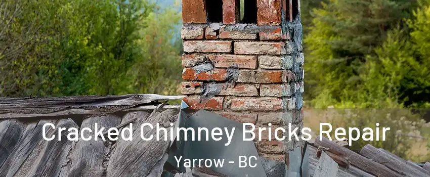 Cracked Chimney Bricks Repair Yarrow - BC