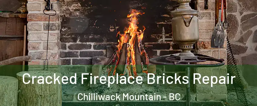Cracked Fireplace Bricks Repair Chilliwack Mountain - BC