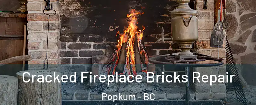 Cracked Fireplace Bricks Repair Popkum - BC