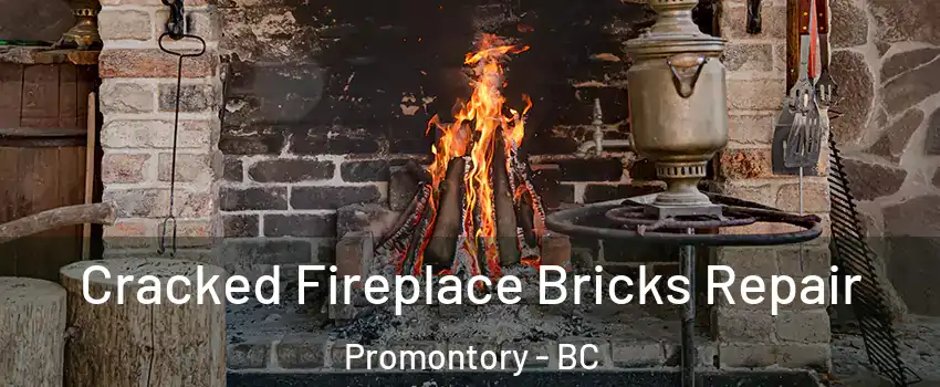 Cracked Fireplace Bricks Repair Promontory - BC