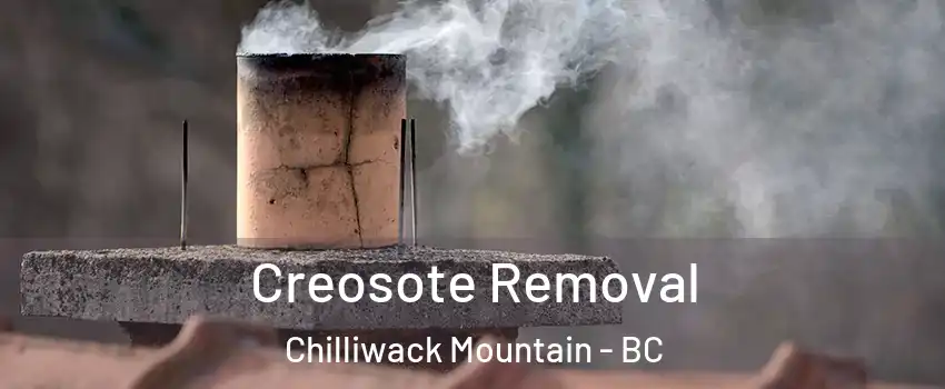 Creosote Removal Chilliwack Mountain - BC