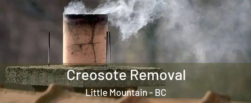 Creosote Removal Little Mountain - BC