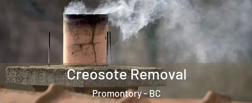 Creosote Removal Promontory - BC