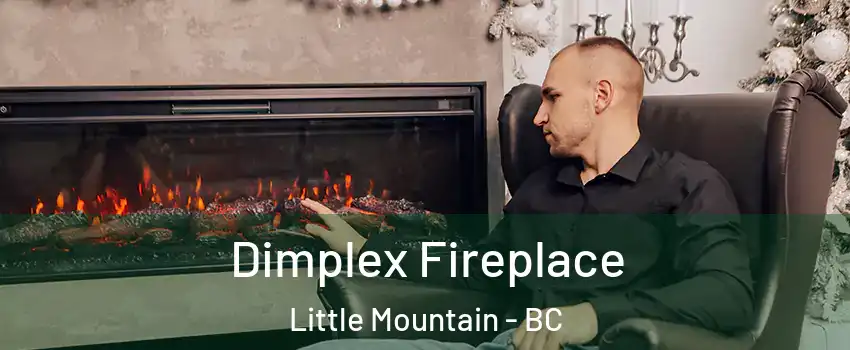 Dimplex Fireplace Little Mountain - BC