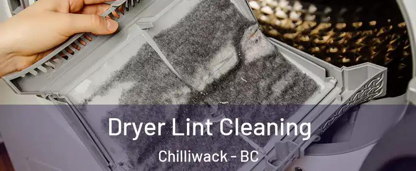  Dryer Lint Cleaning Chilliwack - BC