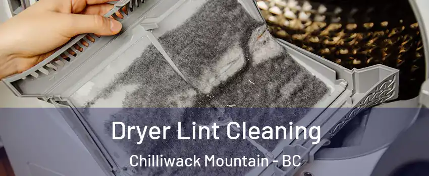 Dryer Lint Cleaning Chilliwack Mountain - BC
