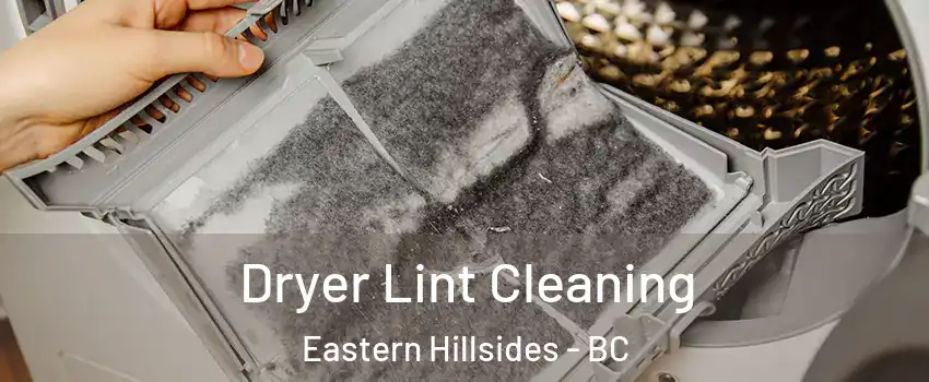 Dryer Lint Cleaning Eastern Hillsides - BC