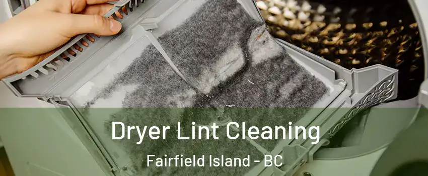 Dryer Lint Cleaning Fairfield Island - BC