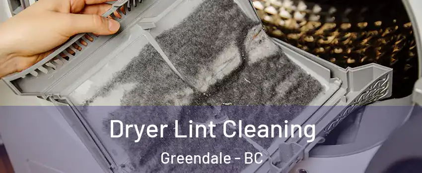 Dryer Lint Cleaning Greendale - BC