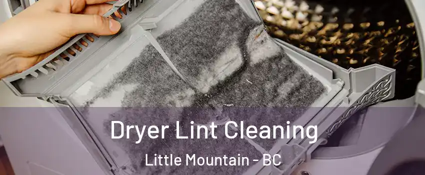 Dryer Lint Cleaning Little Mountain - BC