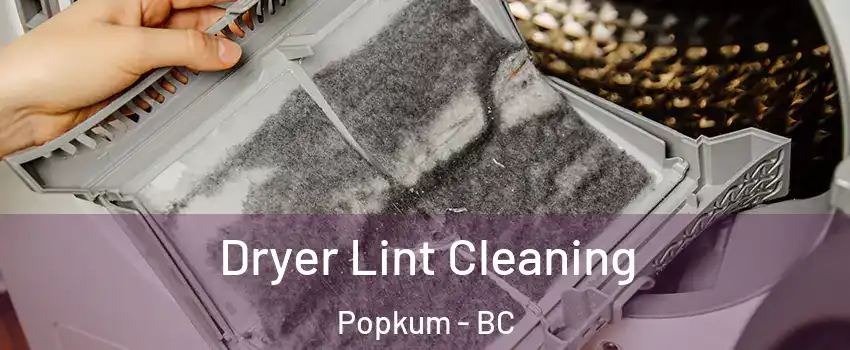Dryer Lint Cleaning Popkum - BC