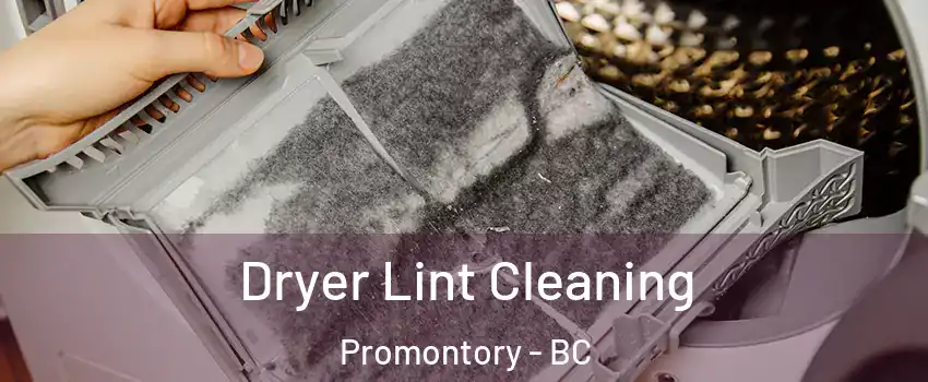 Dryer Lint Cleaning Promontory - BC