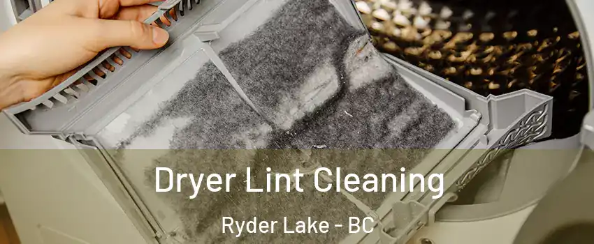 Dryer Lint Cleaning Ryder Lake - BC