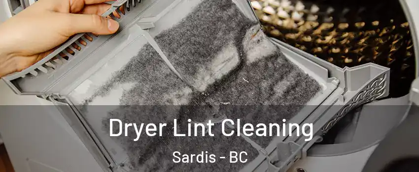 Dryer Lint Cleaning Sardis - BC