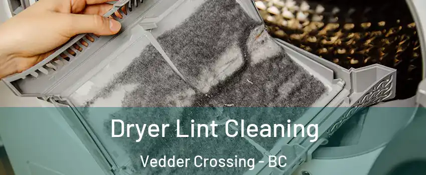 Dryer Lint Cleaning Vedder Crossing - BC