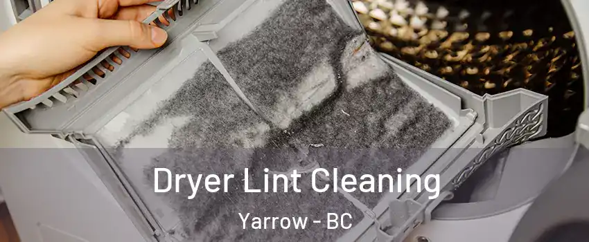 Dryer Lint Cleaning Yarrow - BC